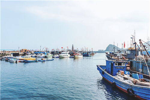 水产养殖政策补贴：推动渔业繁荣的强大引擎