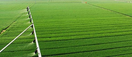 中国绿色农业：实现可持续发展的重要途径。