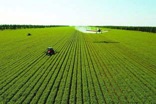 农产品加工新技术包括哪些，打开农业新时代的大门