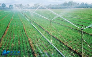 节水灌溉的优缺点