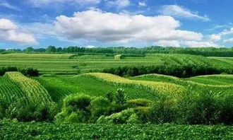 生态农业发展理念包括，绿色革命：生态农业的崛起与未来