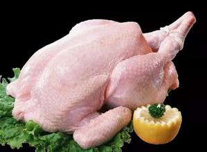 禽肉类加工的基本要求是什么