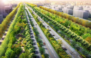 城市绿化设计规范是建设部在哪一年出台的